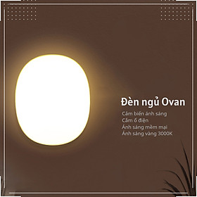 Mua Đèn ngủ Cắm điện Ánh sáng vàng Hình Ovan