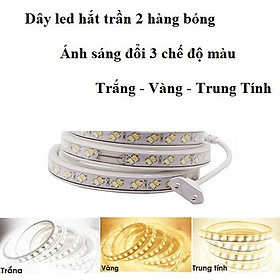 Mua Đèn LED dây trang trí nhà loại 2 mắt 1 hàng  dây đồng chống ẩm tuyệt đối ( mua trên 20m tặng nguồn)