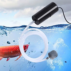 Mua (Hàng Tốt) Bộ Máy Sục Sủi Khí Oxy Mini Cho Bể Cá Cảnh Thủy Sinh – Siêu Êm  Hàng Cao Cấp  Bơm Khí Oxy Hồ Cá