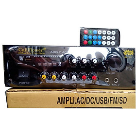Mua AMPLY MINI USB - BLUETOOTH KARAOKE DC 12V