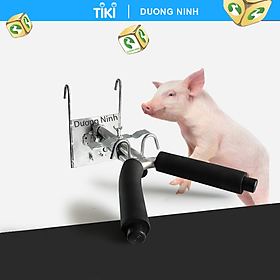 Giá thiến heo đỡ lợn con bằng inox 304 DN19