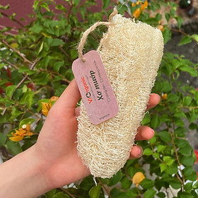 Mua Xơ mướp tự nhiên ViOrganic – Size trung - Phù hợp làm bông tắm hoặc miếng rửa chén