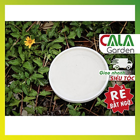 Đĩa lót chậu trồng cây - Đĩa kê chậu trồng cây hình tròn - Đĩa sứ tròn lót chậu - Đĩa lót Men Bát Tràng