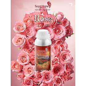 Tinh dầu Scent Homes - mùi hương (ROSE - Hoa Hồng)