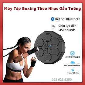 Máy tập Boxing Theo Nhạc Gắn Tường Thông Minh, Thiết Bị Tập Đấm Bốc Fitness Có Kết Nối Bluetooth