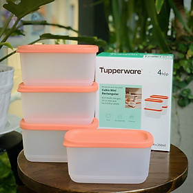 Mua Bộ hộp bảo quản thực phẩm Mini Cubix Rectangular (4)