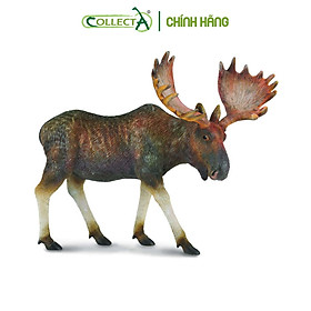 Mô hình thu nhỏ Nai Sừng Tấm - Moose, hiệu CollectA, mã HS 9651420