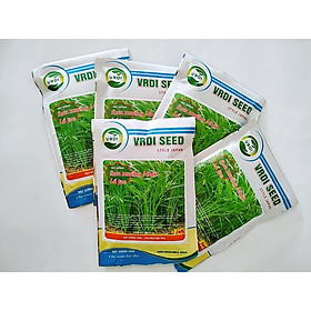 Mua Hạt giống rau muống Nhật lá tre siêu ngọn  dễ trồng  chịu nhiệt tốt gói 100gr