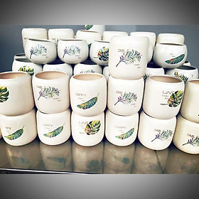 Mua Chậu mini 11*11cm