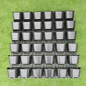 [Bộ 1m2] Khung & Chậu vườn tường [JUPIWall-03]  tự lắp ghép: Dễ dàng trang trí nội & ngoại thất, phù hợp nhiều loại cây. 2 lựa chọn khung đỡ.