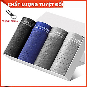 Quần lót nam - Combo 4 quần sịp đùi nam thoáng mát