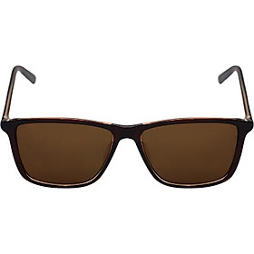 Kính Mát Nhựa Unisex MN819.2 (57-16-143) - Nâu