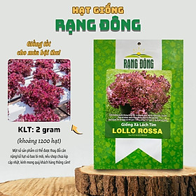 Mua Hạt giống Xà Lách các loại  nảy mầm tốt  dễ trồng  nhanh thu hoạch  cây khỏe - Hạt giống Rạng Đông
