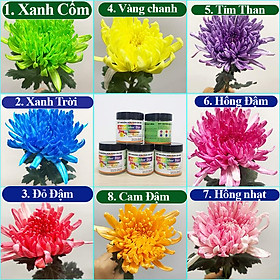 Thuốc Bột Nhuộm Hoa Tươi (Combo 3 hộp tùy màu) giúp đổi màu hoa cắt cành (1 hủ pha 12L nước màu)