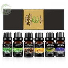 6 CHAI TINH DẦU 100% NGUYÊN CHẤT TỪ THIÊN NHIÊN (10ML): BẠC HÀ - QUẾ - CHANH SẢ - OẢI HƯƠNG - CAM NGỌT - TRÀ XANH