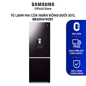 Tủ lạnh hai cửa Samsung Ngăn Đông Dưới 307L RB30N4190BY - Hàng chính hãng - Giao toàn quốc