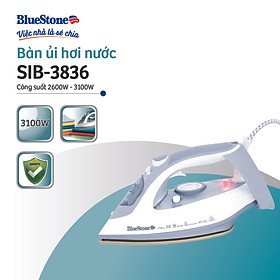 Mua Bàn Ủi Hơi Nước SIB-3836 (3100W) - Hàng chính hãng