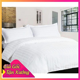 Vỏ Gối cotton trắng sọc 3 phân T400 40x60cm, 50x70cm, 60x80cm, 35x100cm