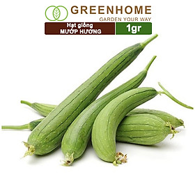 Hạt Giống Mướp Hương Greenhome, Gói 1gr~10 Hạt, Dễ Trồng Quanh Năm, Nảy Mầm Cao, Thu Hoạch Nhanh, Năng Suất Cao T16