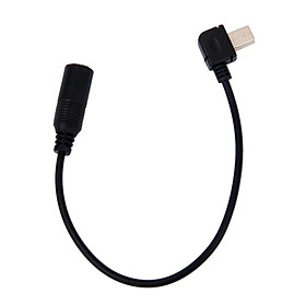 Mini USB to 3.5mm Microphone Mic Adapter Cable Cord for  Hero 4/ 3/ 3+