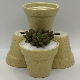 Bộ 4 Chậu Sứ - 7x7x7 Cm - Mầu Be - Dáng Trôn Ốc - Chậu Gốm Bát Tràng Trồng Cây Mini Để Bàn, Tiểu Cảnh Terrarium, Sen Đá & Xương Rồng