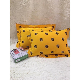 Mua VỎ GỐI COTTON HÀN QUỐC
