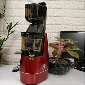 Máy Ép Chậm Ranbem RBM-611 (Model 2020), hàng nhập khẩu