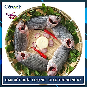 Cá rô đồng làm sạch - CKFoods - 500g