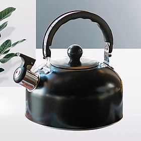 whistling jug Kettles Anti Scald Handle Water Pot for Home Kitchen Induction Cooker