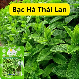 Hạt Giống Cây Bạc Hà - Thái Lan - Gói 0.01gr