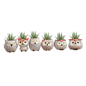 Owl Ceramic Succulent Planter Pots, Pack of 6 Owl Flower Pots, Cactus Plant Pot Flower Pot Container Bonsai Pots for Home Office Garden Decoration
