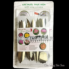 Mua Bộ 10 dụng cụ làm thạch rau câu 3D – Bộ số 3 - Tặng kèm kim nhụy – Mã số 1070