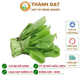Mua Hạt giống rau cải bẹ mỡ xanh Nông Hưng Phú gói 20gr ~4000 hạt