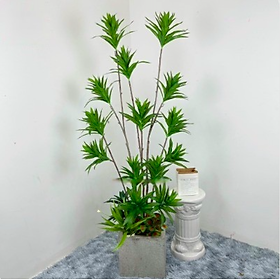 Mua Cây thủy trúc giả - Size 160cm - Cây giả  hoa lụa Decor trang trí nhà cửa