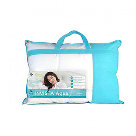 Mua Ruột Gối Everon Invista Aqua