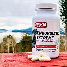 Viên Uống Điện Giải Hammer Nutrition Endurolytes Extreme