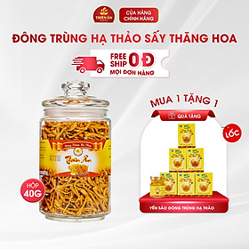 Đông Trùng Hạ Thảo Sấy Thăng Hoa Thiên Ân - Hũ 40g