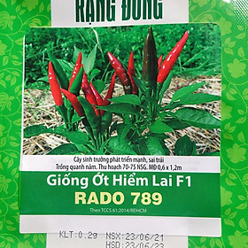 Mua Hạt Giống Ớt Hiểm Lai F1 Rado 789 gói 0 2g - sai trái. Trái dài 6-8cm  chín có màu đỏ tươi  cay nồng rất ngon