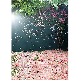 Mua Phông 3D chụp ảnh 2.5×3.75m mã K-11973