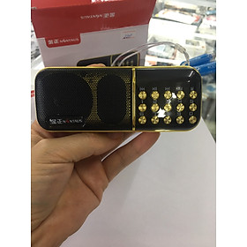 Máy nghe nhạc thẻ nhớ, đài FM B-851