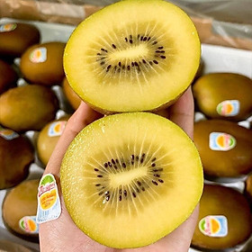 Kiwi vàng New Zealand sz22