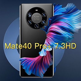 Mate40Pro+ Smartphone 7.3 inch Screen 12GB 512GB Mobile Phone Handphone 6000mAh Battery Fingerprint ID Smart Phone Dual sim Android 10.0