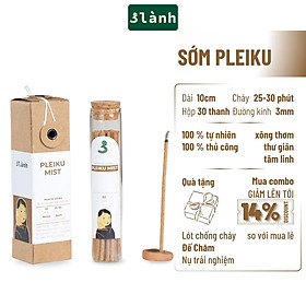 Mua Nhang Thủ Công Sớm Pleiku 3 Lành Hộp 30 Que 100 % Tự Nhiên Tặng Kèm Đế Chăm Không Hóa Chất Xông Thơm