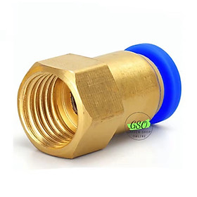 Mua Đầu nối thẳng răng trong PCF nối ống 10mm đầy đủ ren cho khí nén  phun sương