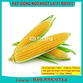 Hình ảnh Hạt Giống Ngô Ngọt Việt Thái F1 Gói 200gram - Hạt Bắp to đều, hạt chắc, ăn ngọt, tỷ lệ nảy mầm cao