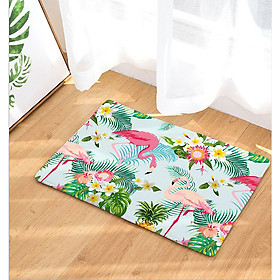 Mua Thảm Lót Sàn Chùi Chân Họa Tiết 3D (60x40cm) Hạc Nền Trắng