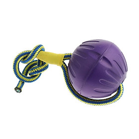 Dog Toy Vivid Color Ball with Rope,Interactive Tug Toy Launcher Exercise Practice the Jump,Reward Toy for Dog