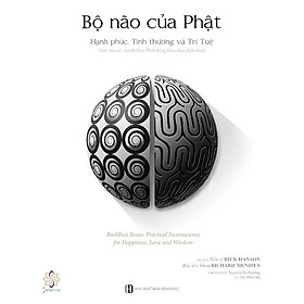 Bộ Não Của Phật