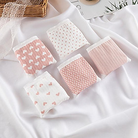 Set 5 Quần Lót Nữ Cotton Cao Cấp Kháng Khuẩn Mã QL02