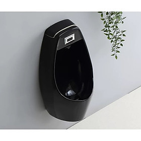Mua Bồn tiểu nam treo tường màu đen có cảm ứng mã T01C